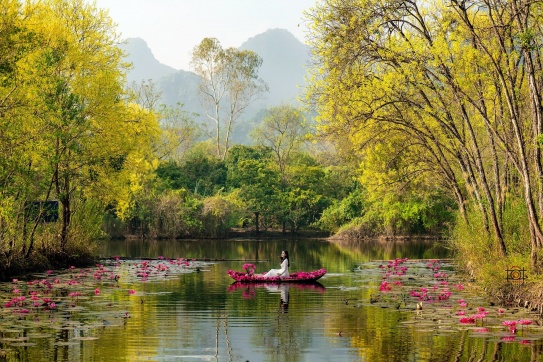 Suối Yên | Con đường vào ngắm cảnh chùa Hương mùa này