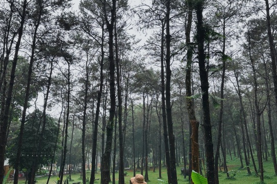 Thiên Sơn Suối Ngà (Ba Vì) │Đón mùa thu sớm