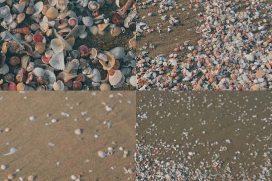 Nghi Xuân (Hà Tĩnh) | Quê mình ở biển