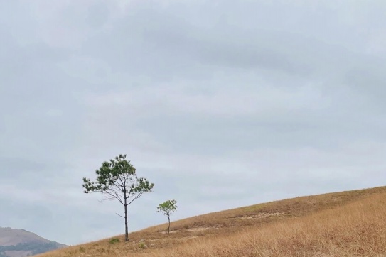 Đỉnh Phượng Hoàng | Mùa cỏ cháy đẹp nhất trong năm