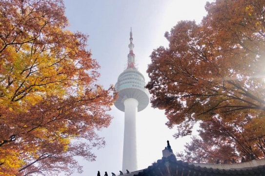 4 ĐỊA ĐIỂM NGẮM MÙA THU HÀN QUỐC ĐẸP NHẤT