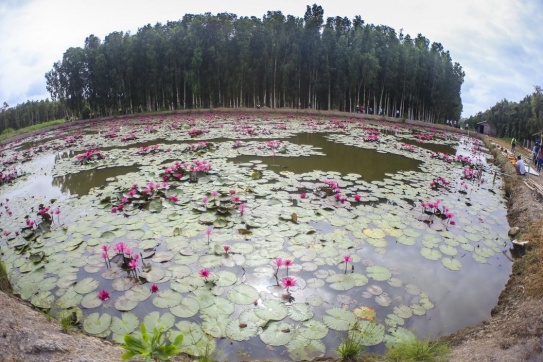 Note ngay 17 địa điểm này cho chuyến du lịch Hậu Giang nào!