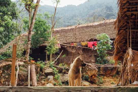Bản Sưng | Chốn hẹn hò lặng thinh cho người hướng ngoại