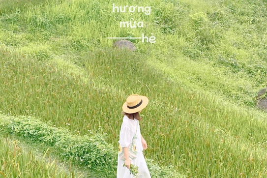 "Chiếc" đồi hoa cực xinh đâyyyy!