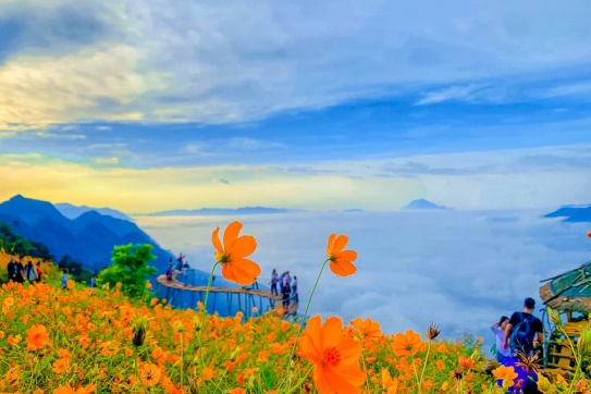 Hang Kia (Pà Cò) | Điểm săn mây đẹp mơ màng