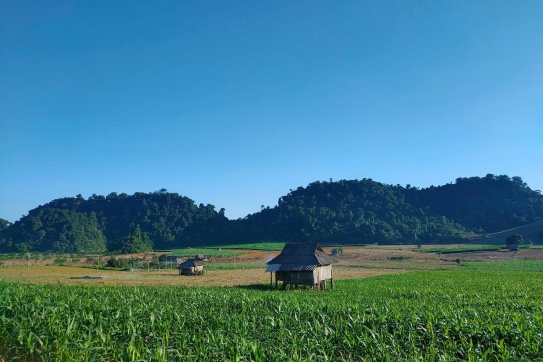 Trải nghiệm chill băng rừng Ngổ Luông (Hòa Bình)