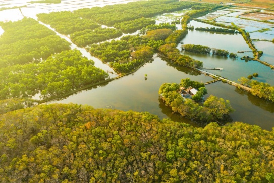 Huế thương - Ghé thăm Rú Chá mùa thay lá