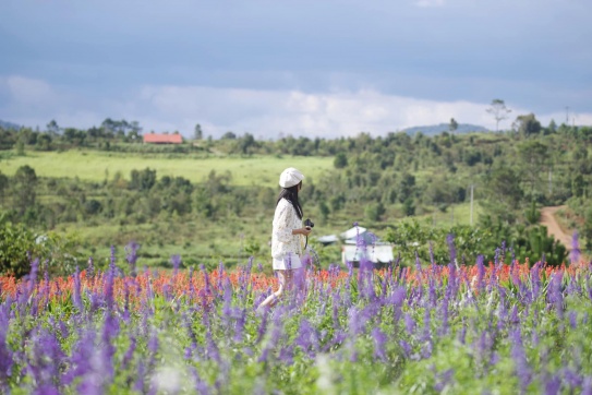 Nếu như được chọn 1 vùng đất ...
