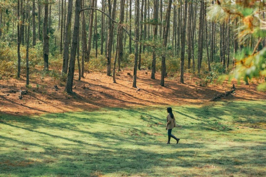 Măng Đen không đi bây giờ đi khi nào?