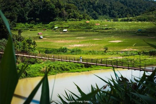 Măng Đen, không bao giờ trở nên giống như Đà Lạt