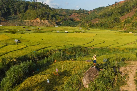 Măng Đen mùa vàng!