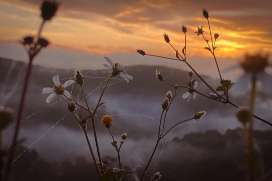 Săn mây ở Măng Đen (Kon Tum)
