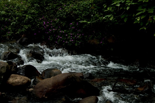 Măng Đen như người thiếu nữ