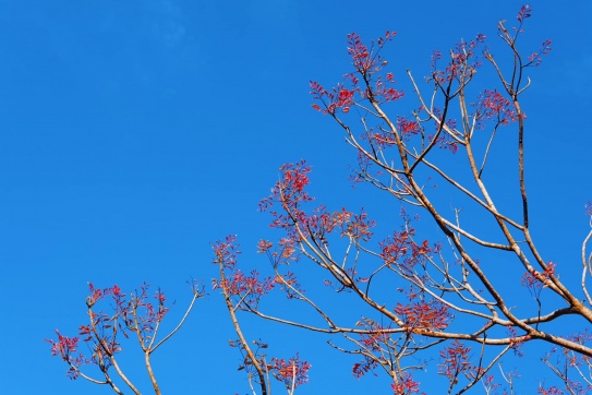 Măng Đen | Chuyến đi của sự tử tế