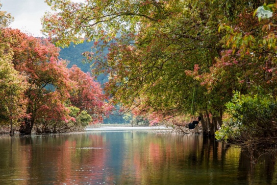 D'ran | Đơn Dương (Lâm Đồng) mùa lá đỏ