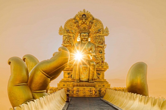 Samten Hills Dalat - Check-in khu tham quan du lịch tâm linh CỰC HOT