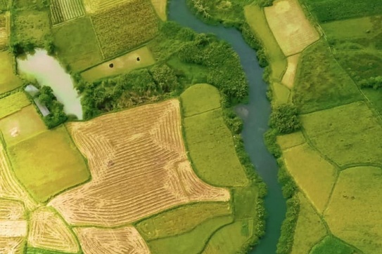 Bắc Sơn | Ngắm nhìn bức tranh mùa vàng tháng 11