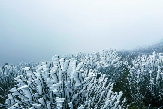 Chạy xe dưới trời âm độ C lên đỉnh Mẫu Sơn săn băng tuyết