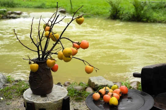 Check in vườn hồng siêu đẹp tại Lạng Sơn