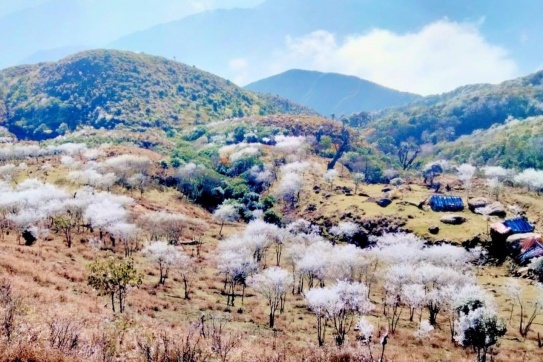 Bạch Mộc Lương Tử 3046m xuất hiện tuyết trắng trời 