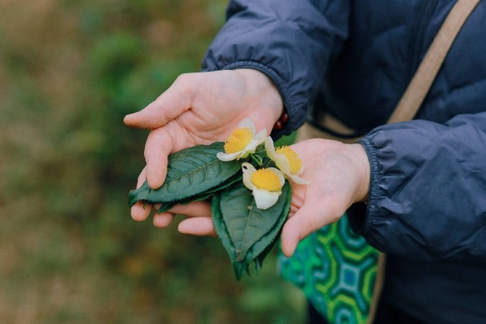 Một ngày ở Bản Liền
