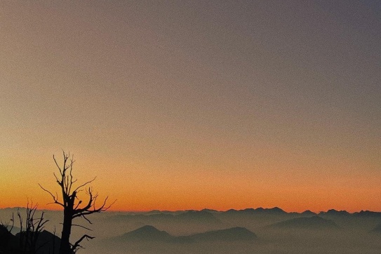 Có một Lảo Thẩn chưa bao giờ làm mình thất vọng