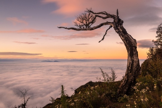 Mây Lảo Thẩn đẹp xuất sắc lòng người quá