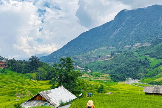 Mùa vàng ở vùng cao