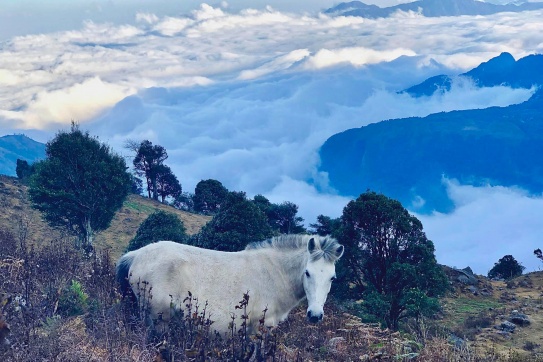 Nhìu Cồ San - đỉnh núi cao thứ 09 Việt Nam