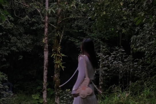 Vườn quốc gia Hoàng Liên