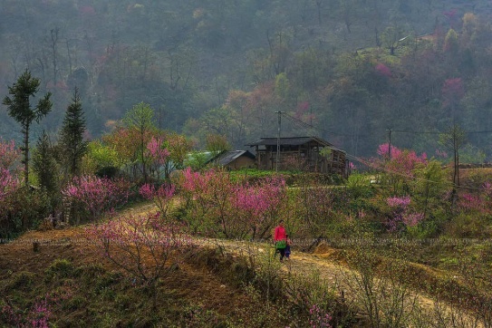 Nhiều năm về trước, khi lần đầu đặt chân đến Y Tý...