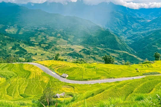 Y Tý - Ngắm “mùa vàng” trên những thửa ruộng bậc thang 