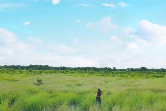 “Cánh đồng bất tận” điểm đến cực chill cho team mê sống ảo