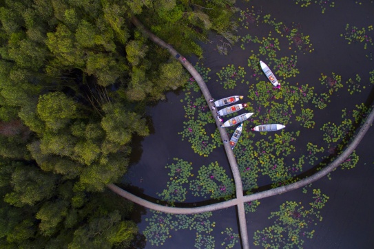 Làng nổi Tân Lập | Con đường cực xinh cho team mê sống ảo