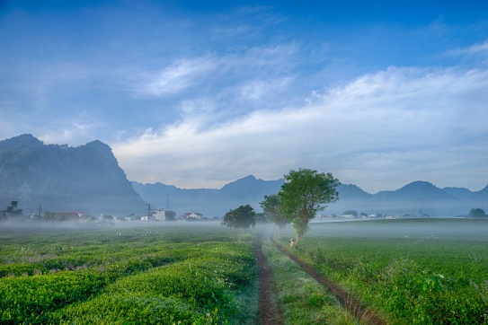 Lên Mộc Châu 3 ngày mới hiểu được ý nghĩa của từ “healing”