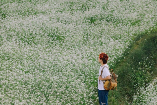 NHỮNG ĐIỂM CHECK-IN MỘC CHÂU 2024