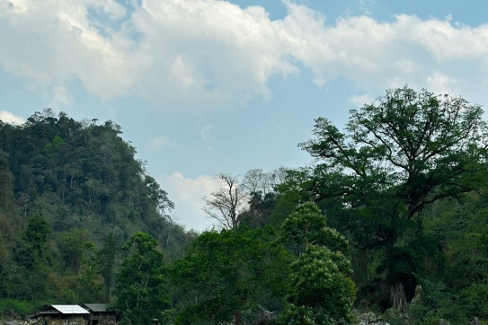 Một địa điểm không thể bỏ qua khi đến Mộc Châu