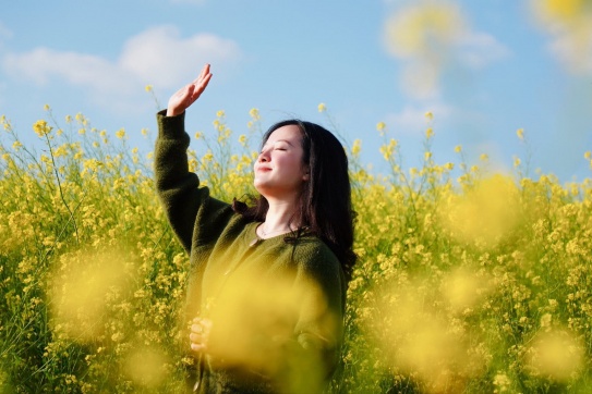 Hoa cải Mộc Châu mùa này…