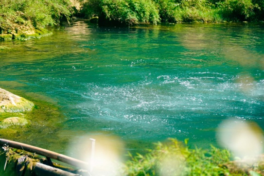 Mộc Châu những ngày hoa mận chớm nở!