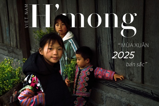 Mộc Châu mùa hoa Mận nở