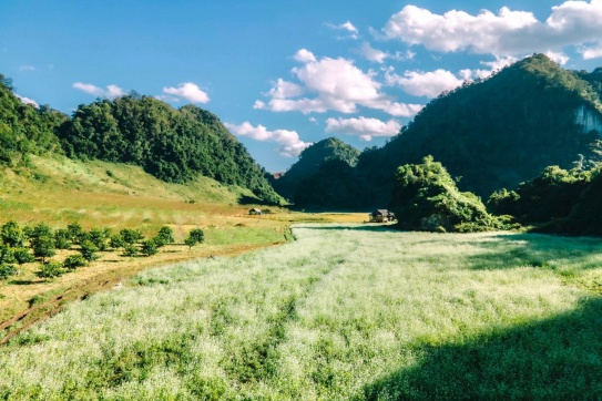 Cần gì đi đâu xa khi Việt Nam ta đã quá đẹp!