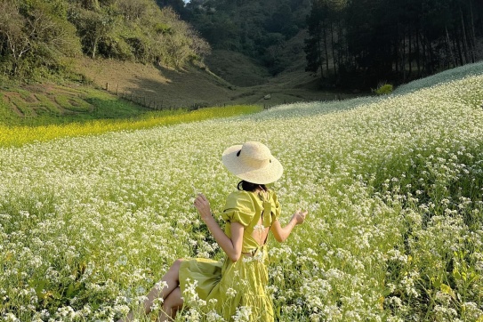 Check-in Mộc Châu vào mùa hoa đẹp nhất
