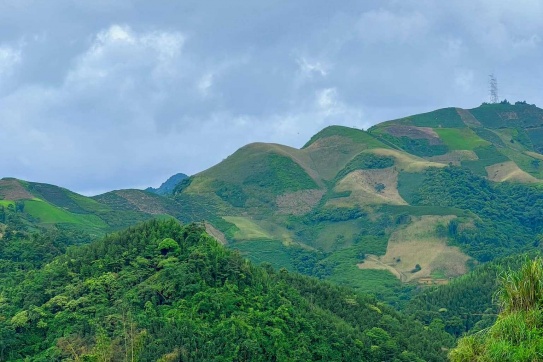 Mùa lúa tháng 8 ở Vân Hồ - Mộc Châu