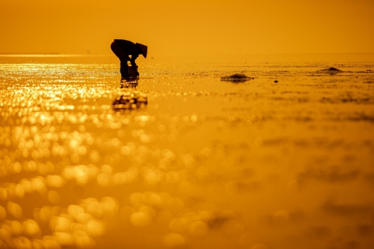 Biển Vô Cực đời thường | Nam Định