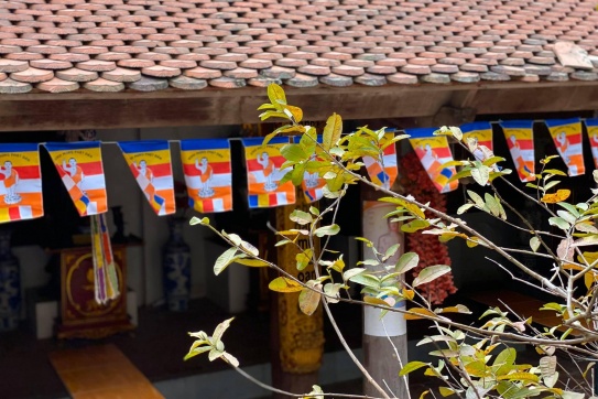 Chùa Cổ Lễ | Ngôi cổ tự tại Nam Định linh thiêng bậc nhất