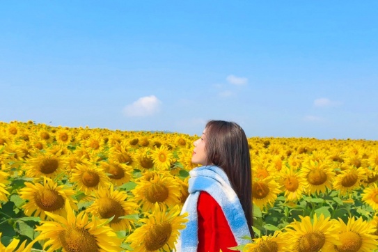 Ngồi xe 4 tiếng từ Hà Nội về Nghệ An chỉ để thấy cảnh này!