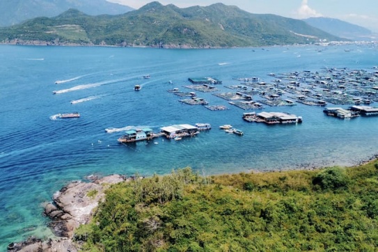Lang thang ở Nha Trang