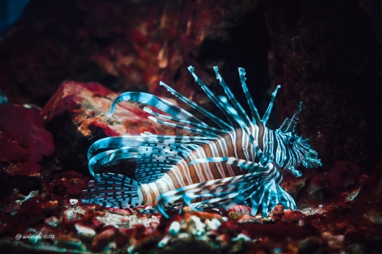 Tọa độ check-in chưa bao giờ hết HOT tại Phố biển Nha Trang 