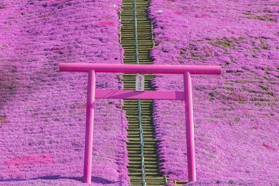 Một địa điểm nhất định không-thể-bỏ-qua khi tới Hokkaido