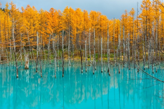 Nhật Bản | “Ghé thăm” chiếc gương trời của Biei (Hokkaido)